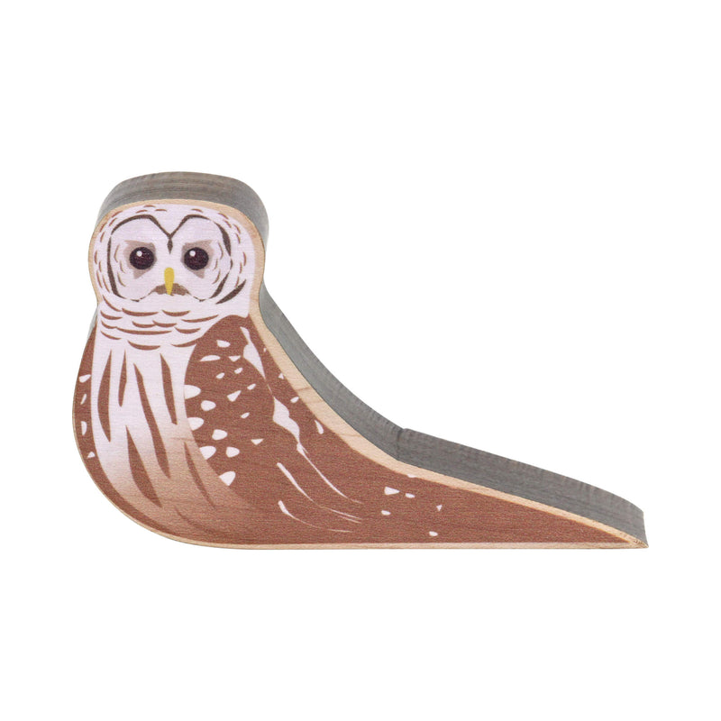 Barred Owl Bird Stop